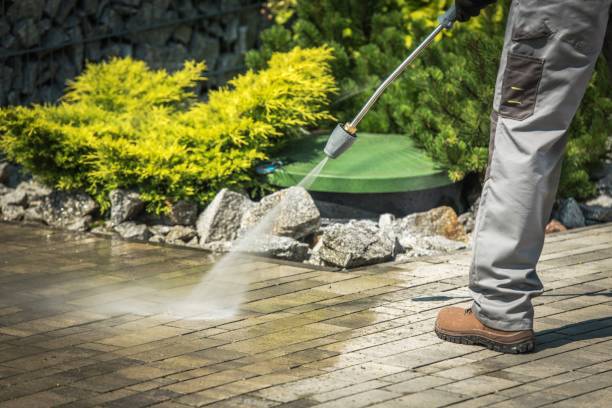 Animal Enclosure Cleaning in Lake Arrowhead, CA
